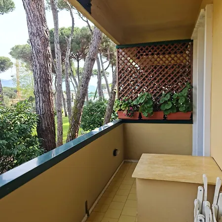 Allure Con E Piscina E Posto Auto Lägenhet *